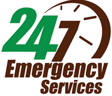 Secondary Logo